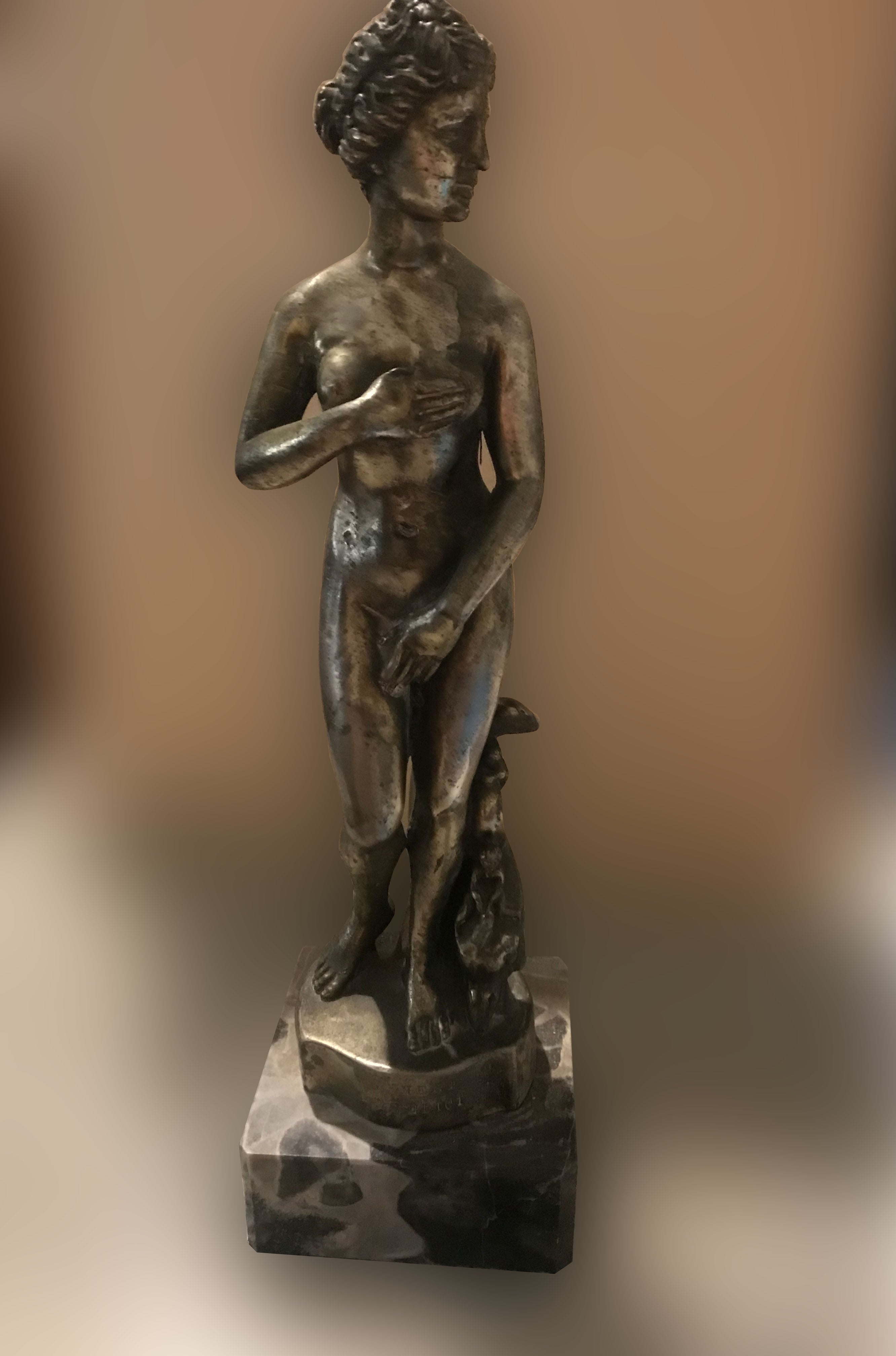 Amilcare Santini - Venus de Médicis