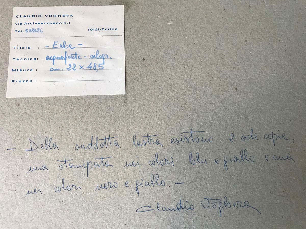 Claudio Voghera - Hierbas