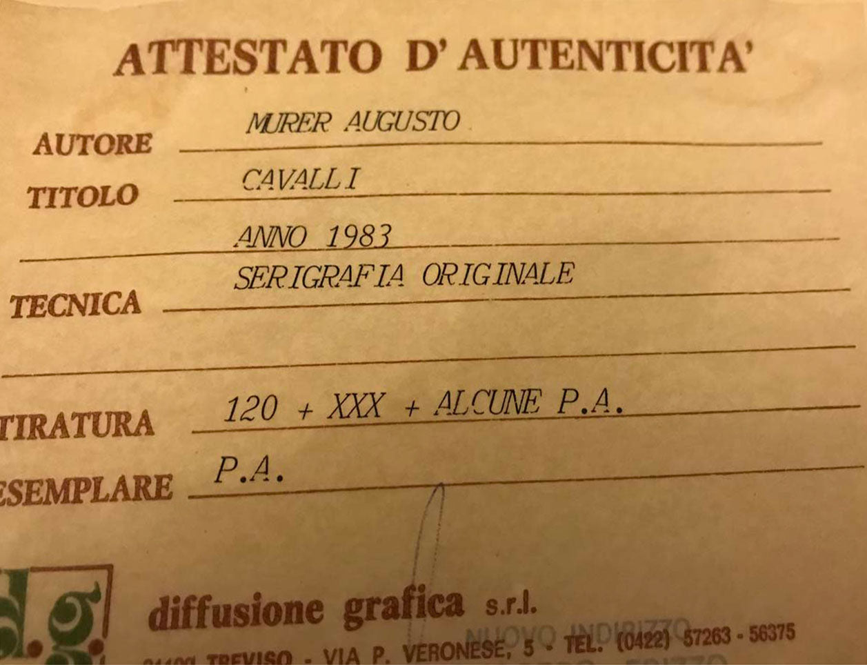 Augusto Murer - Cavalli