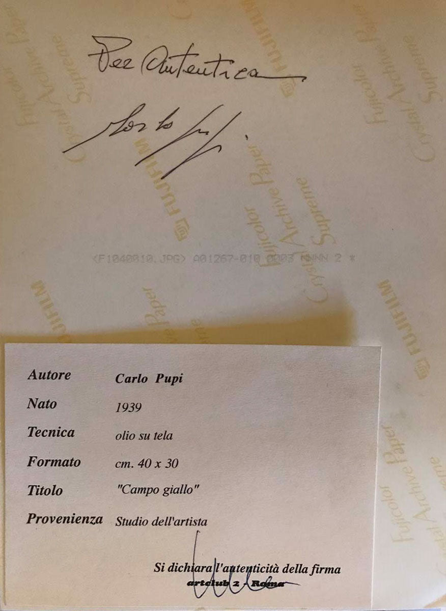 Carlo Pupi - Campo Giallo