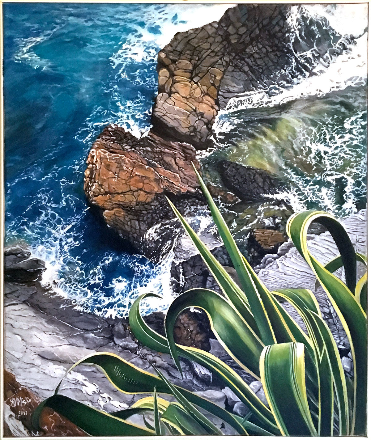 EVMiglio - Agave sugli scogli
