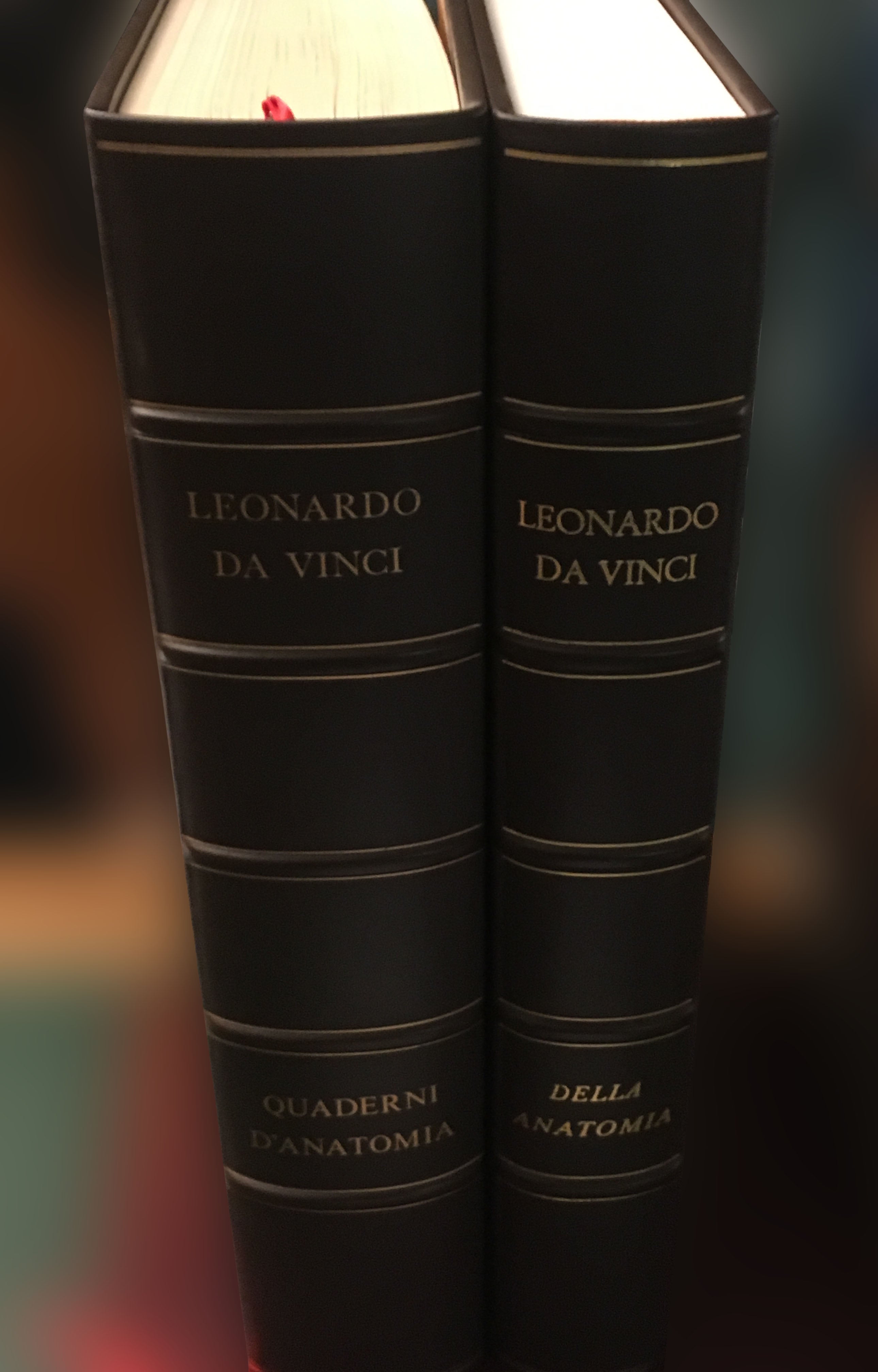 Anatomía de Leonardo da Vinci - Mercado del Arte