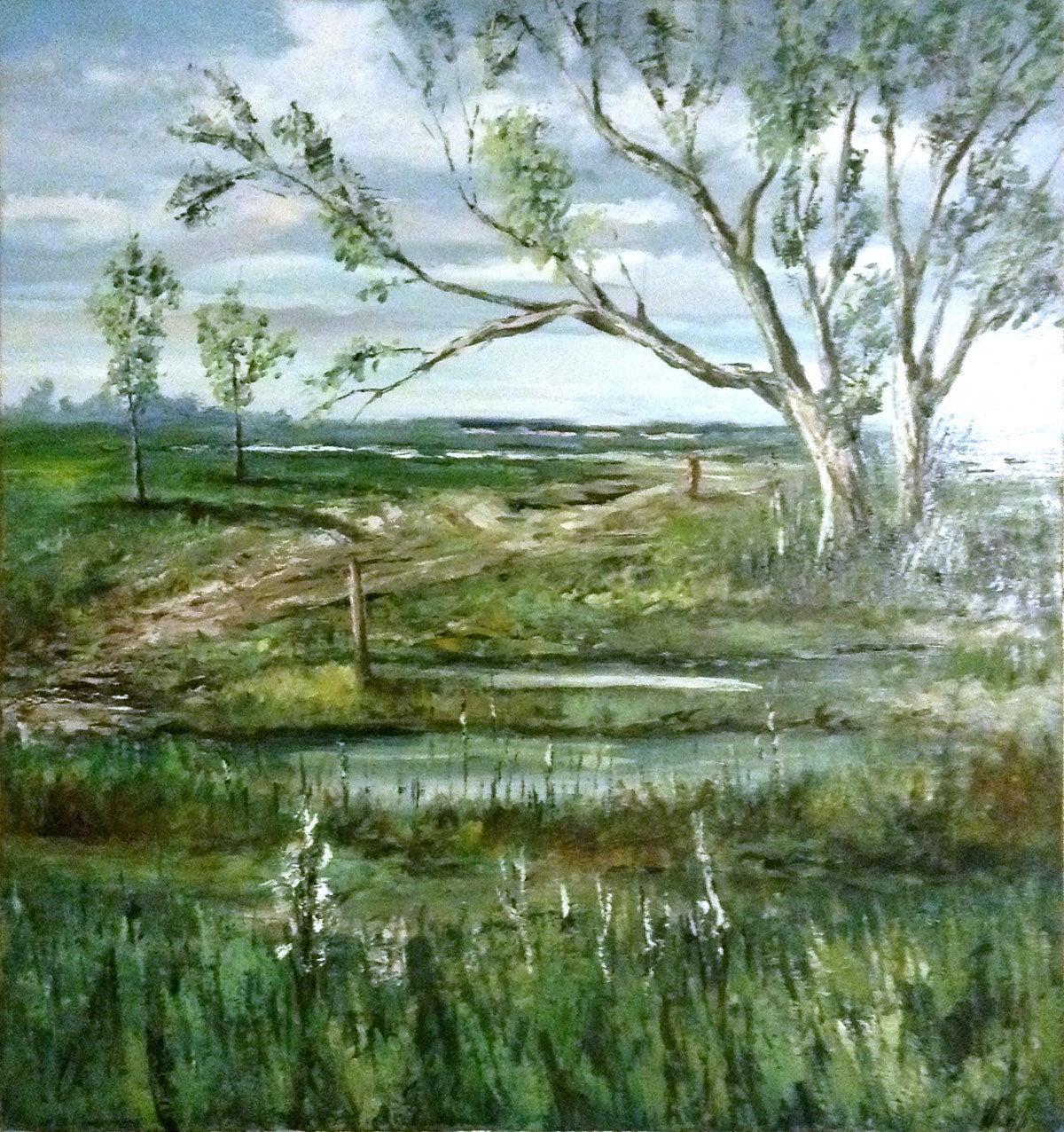 Emiliano Giovanni Minelli - Ritorno a casa