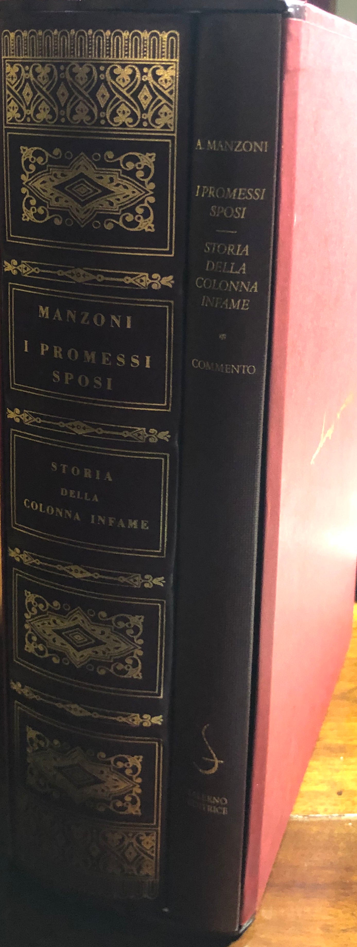 Los prometidos: La historia de la infame columna - Saterno Editrice