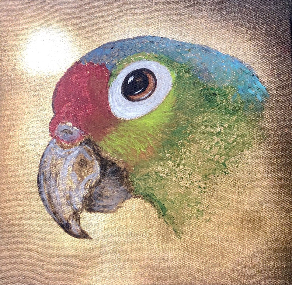 Eralda Pitto - Loro