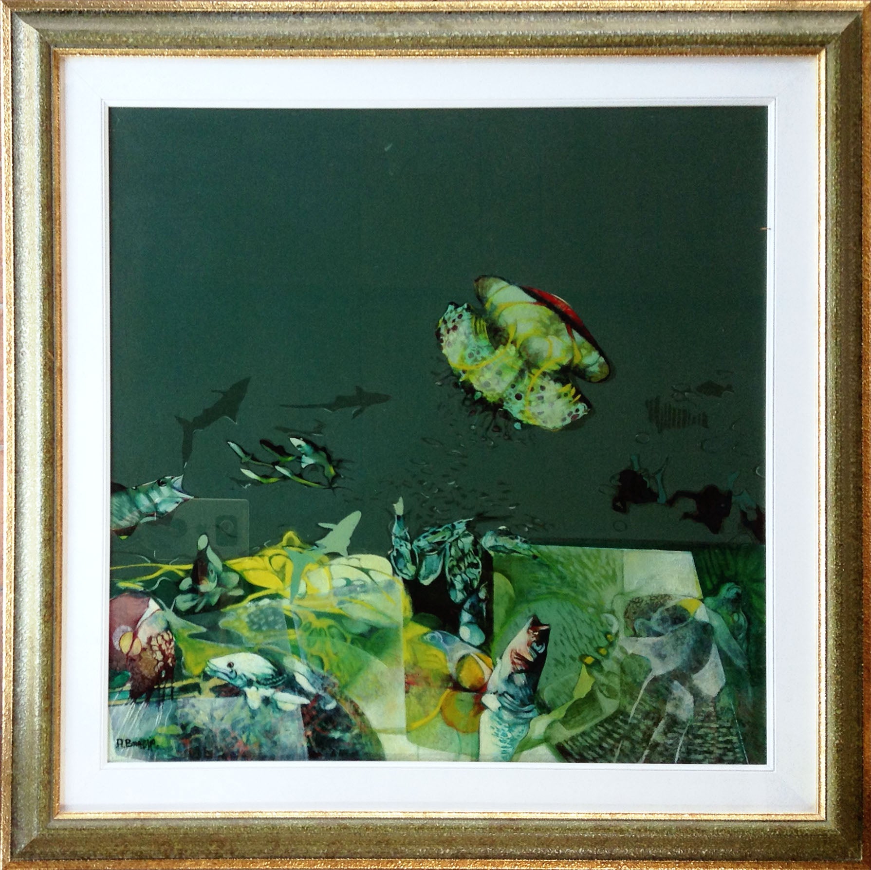 Attilio Braglia - Ecological Balance