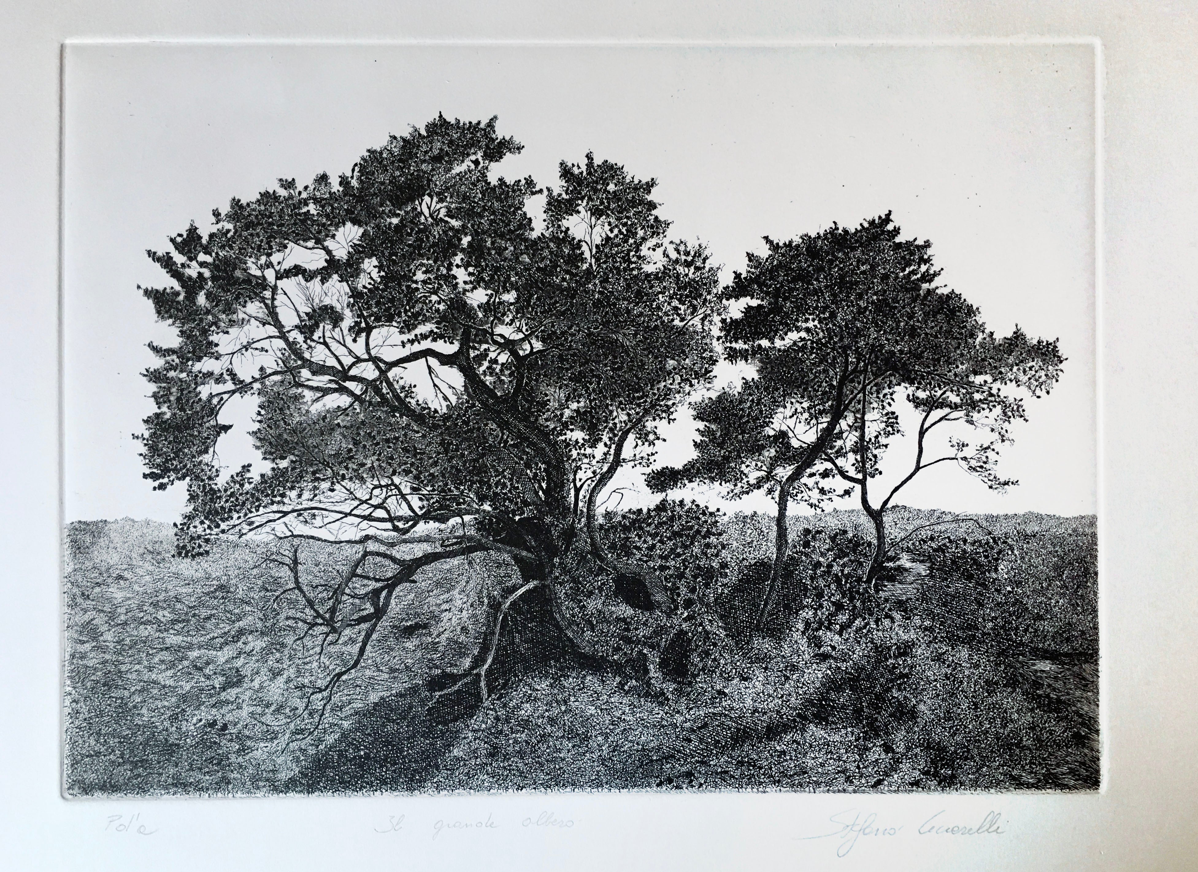 Stefano Ceccarelli - EL GRAN ÁRBOL