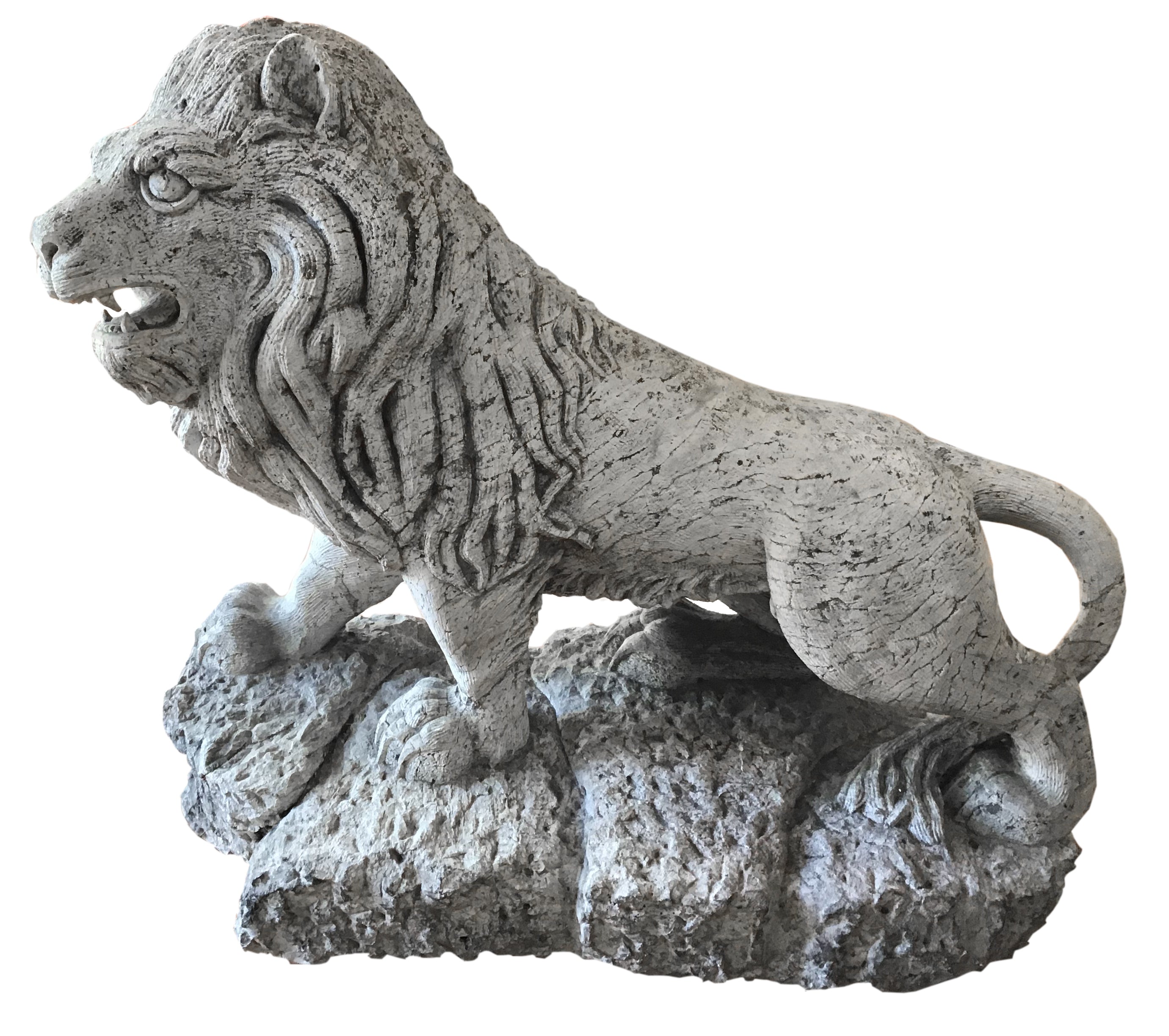 Guido Grazzi - Pareja de leones