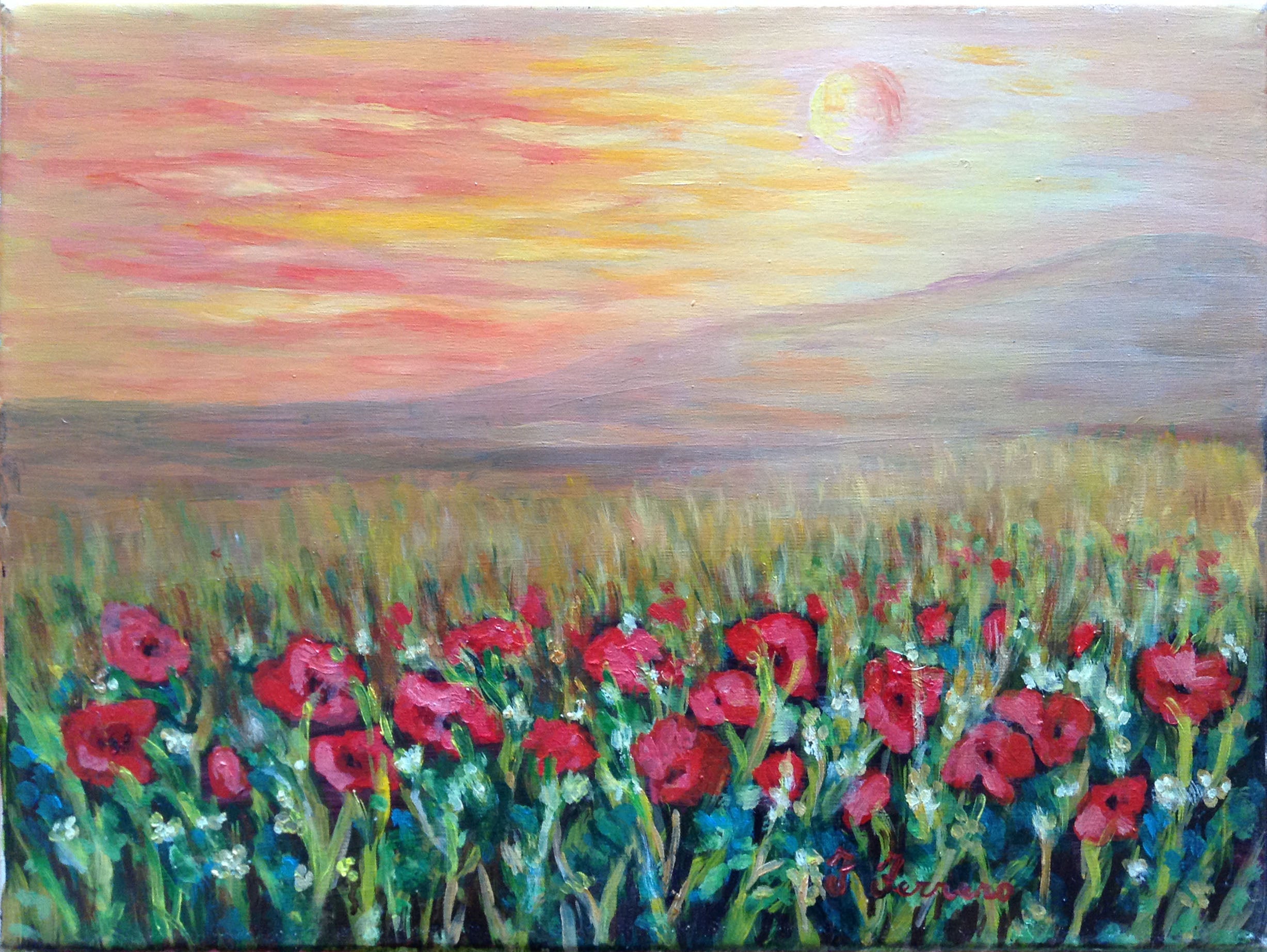 Happiness Ferrero - Poppies at Sunset