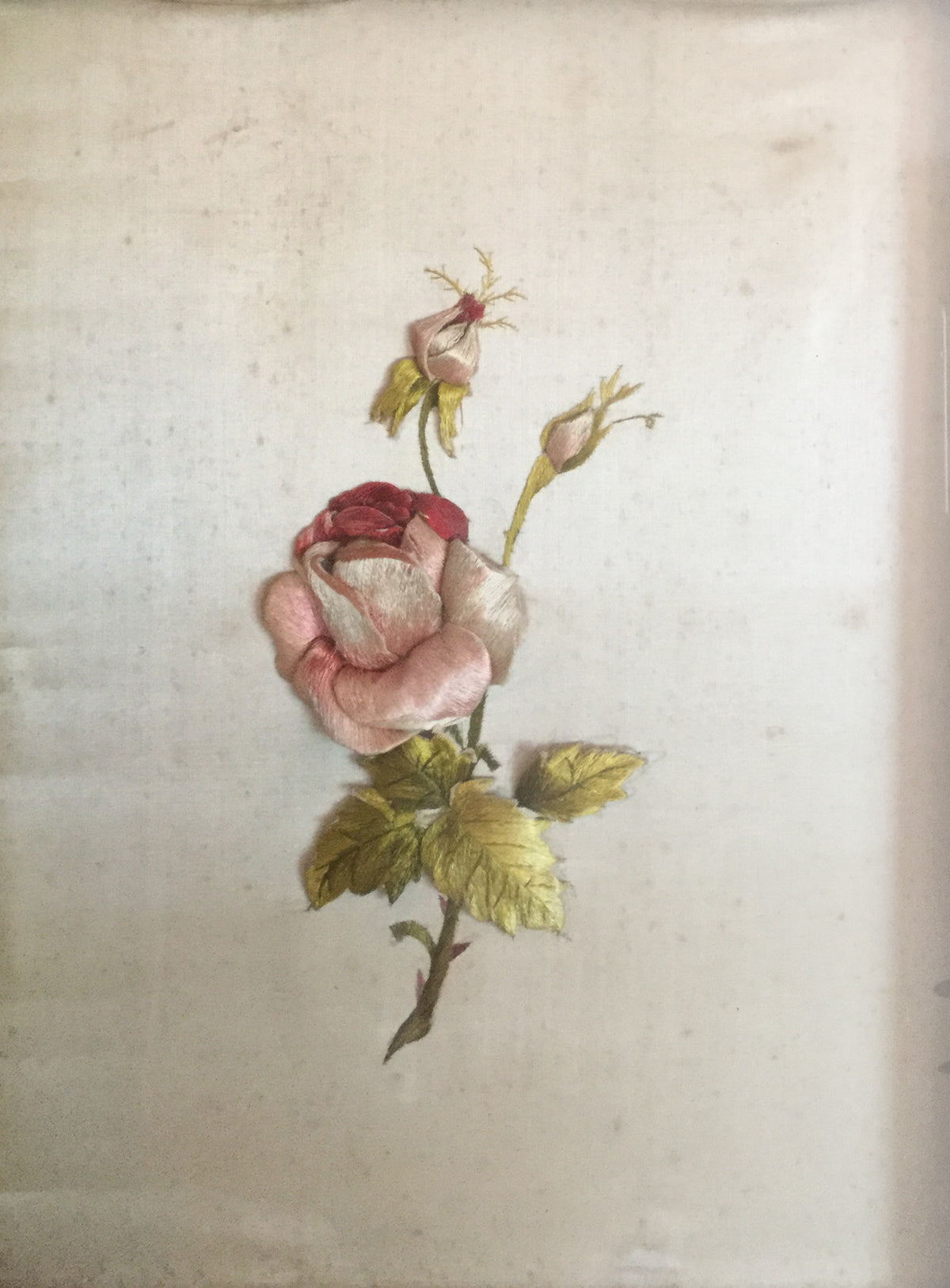 Amalia Mazzoni - Ricamo
