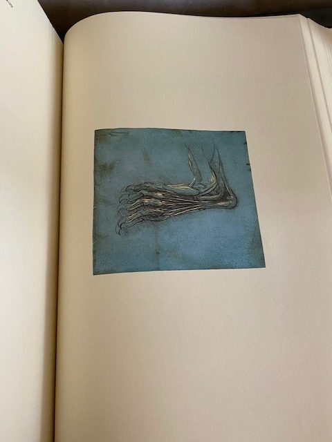Leonardo Da Vinci, Quaderni d'anatomia - Paolo Giordano/Art Market
