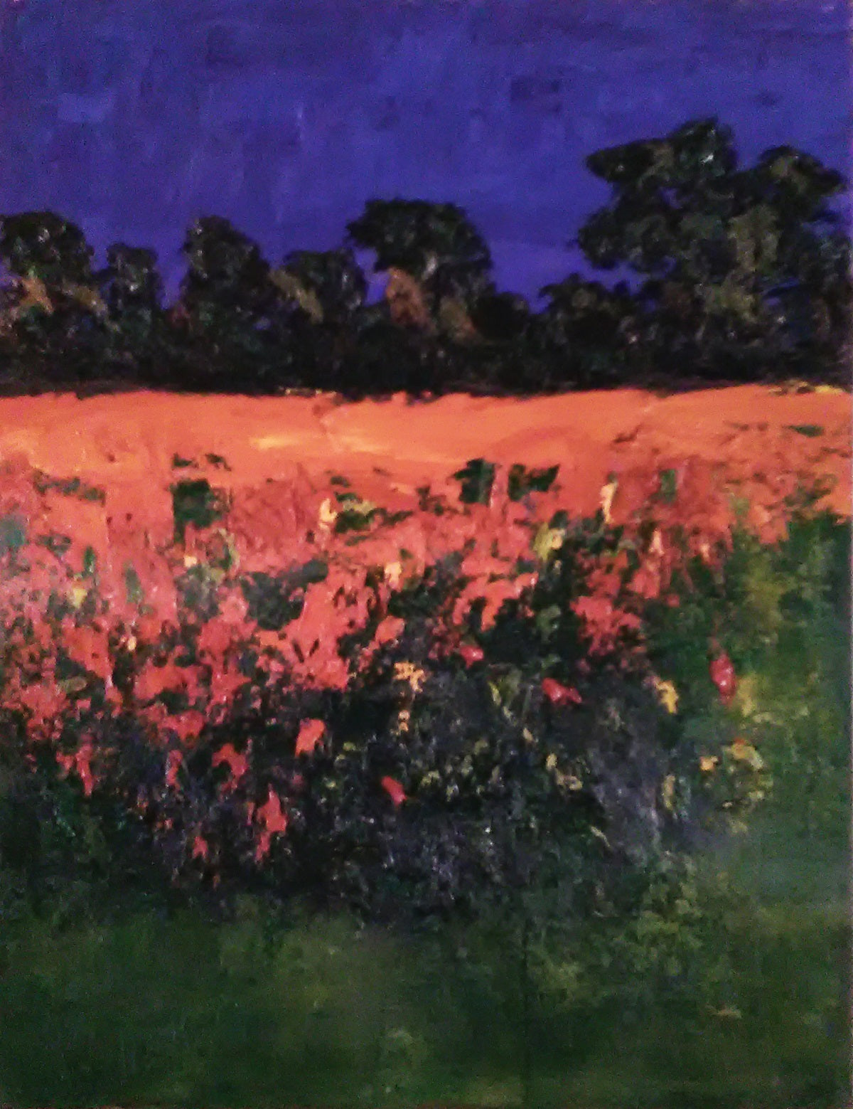 Natale Rosselli - Landscape: Poppies
