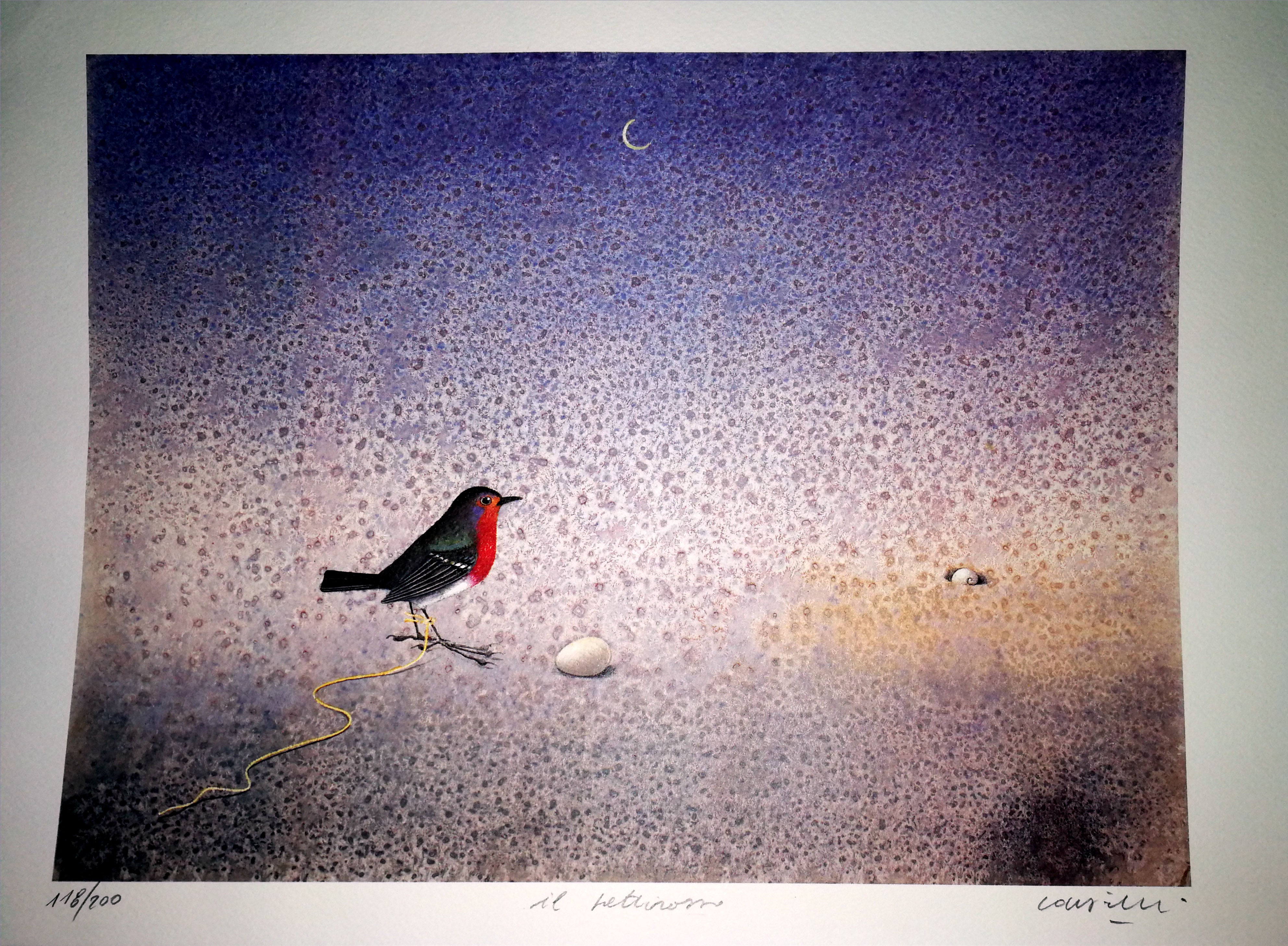 Claudio Cargiolli - Il pettirosso