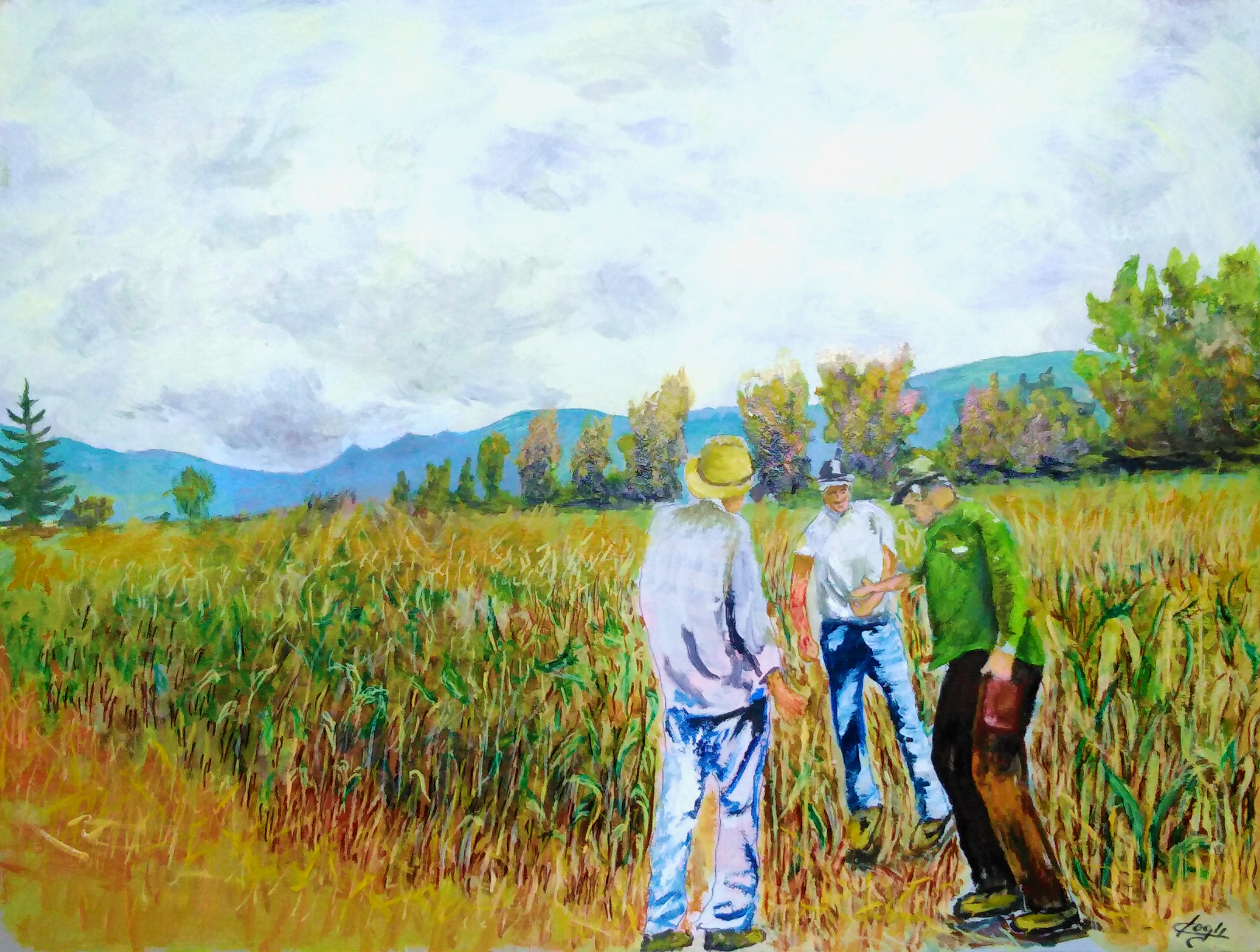 Claudio Fogli - Campo di granturco