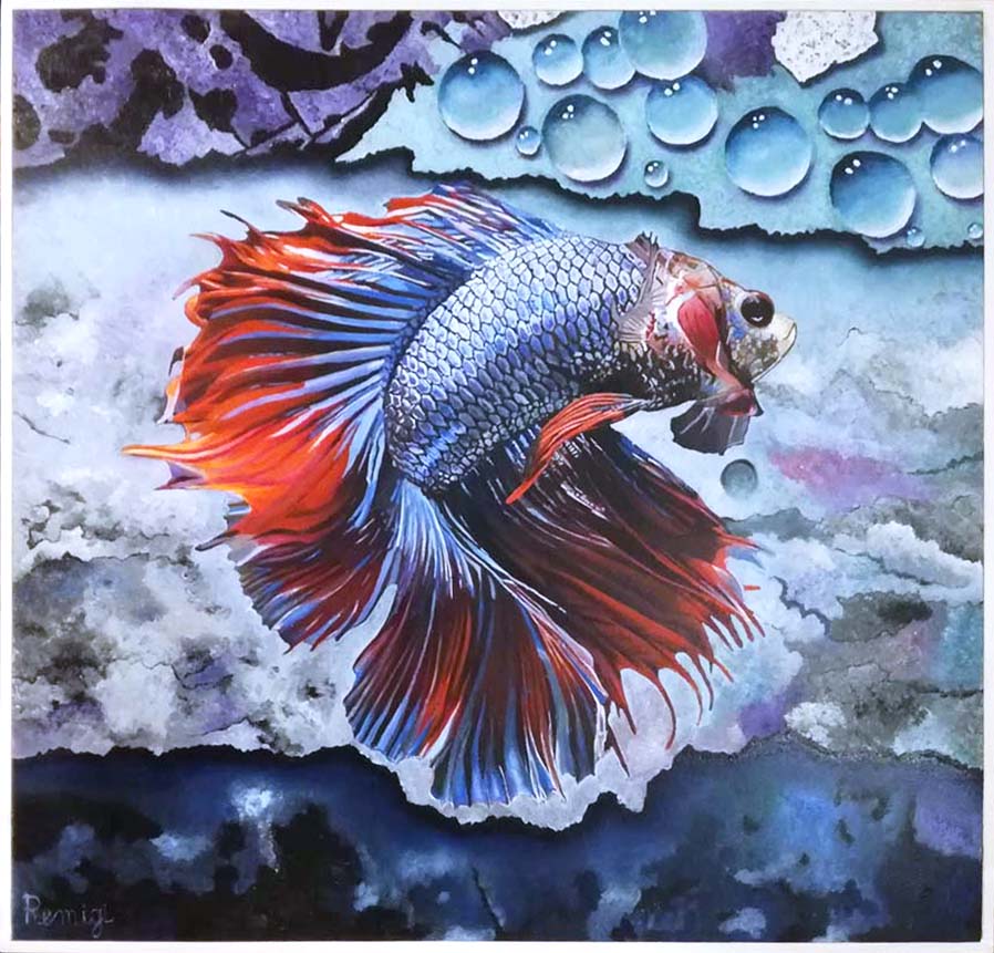 Marcello Remigi - Soldier Fish