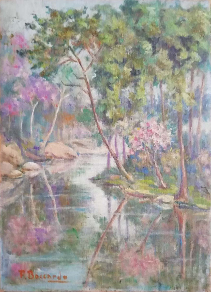 F. Boccardo - Reflexiones sobre el río