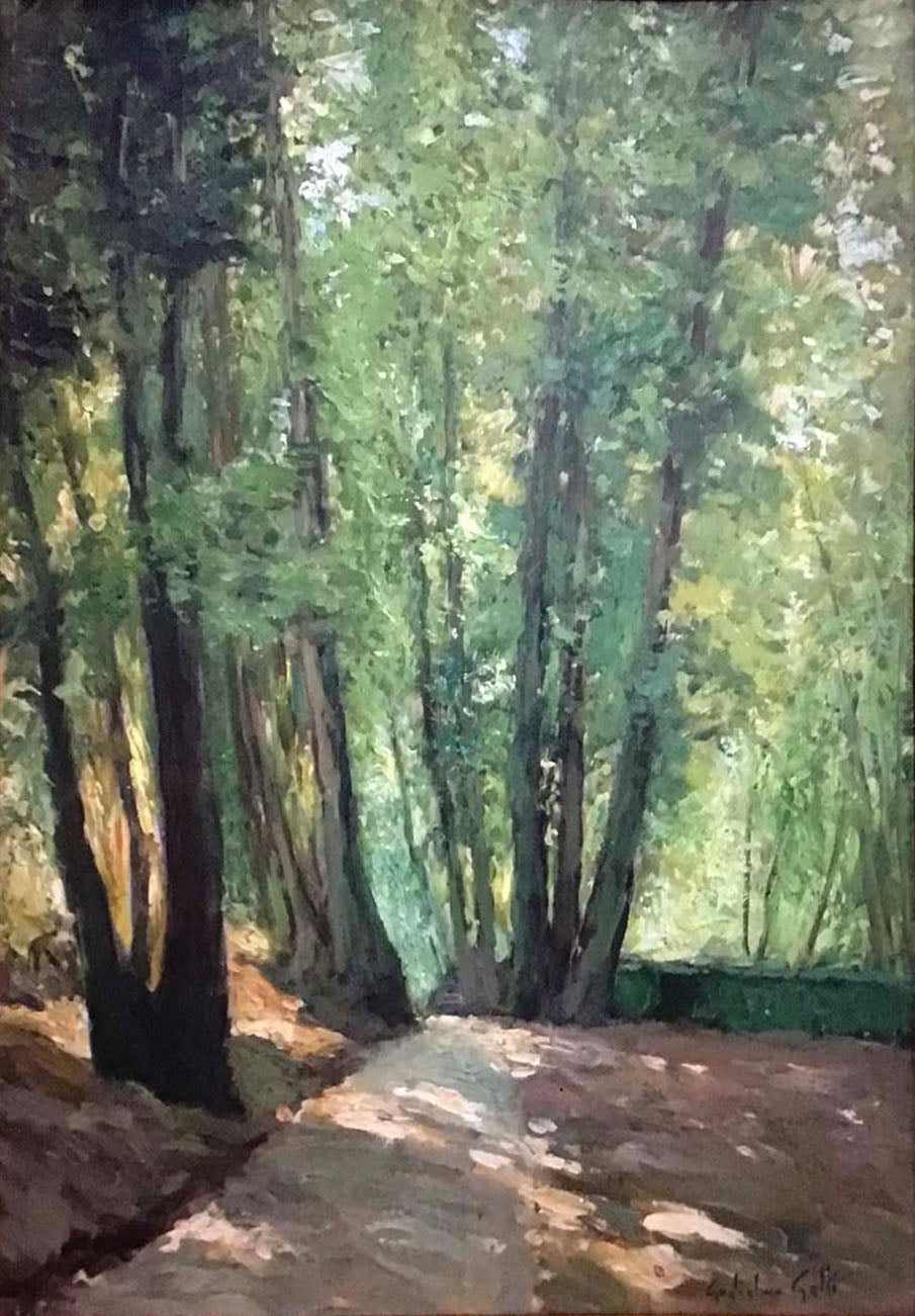 Guglielmo Gatti - Senza titolo