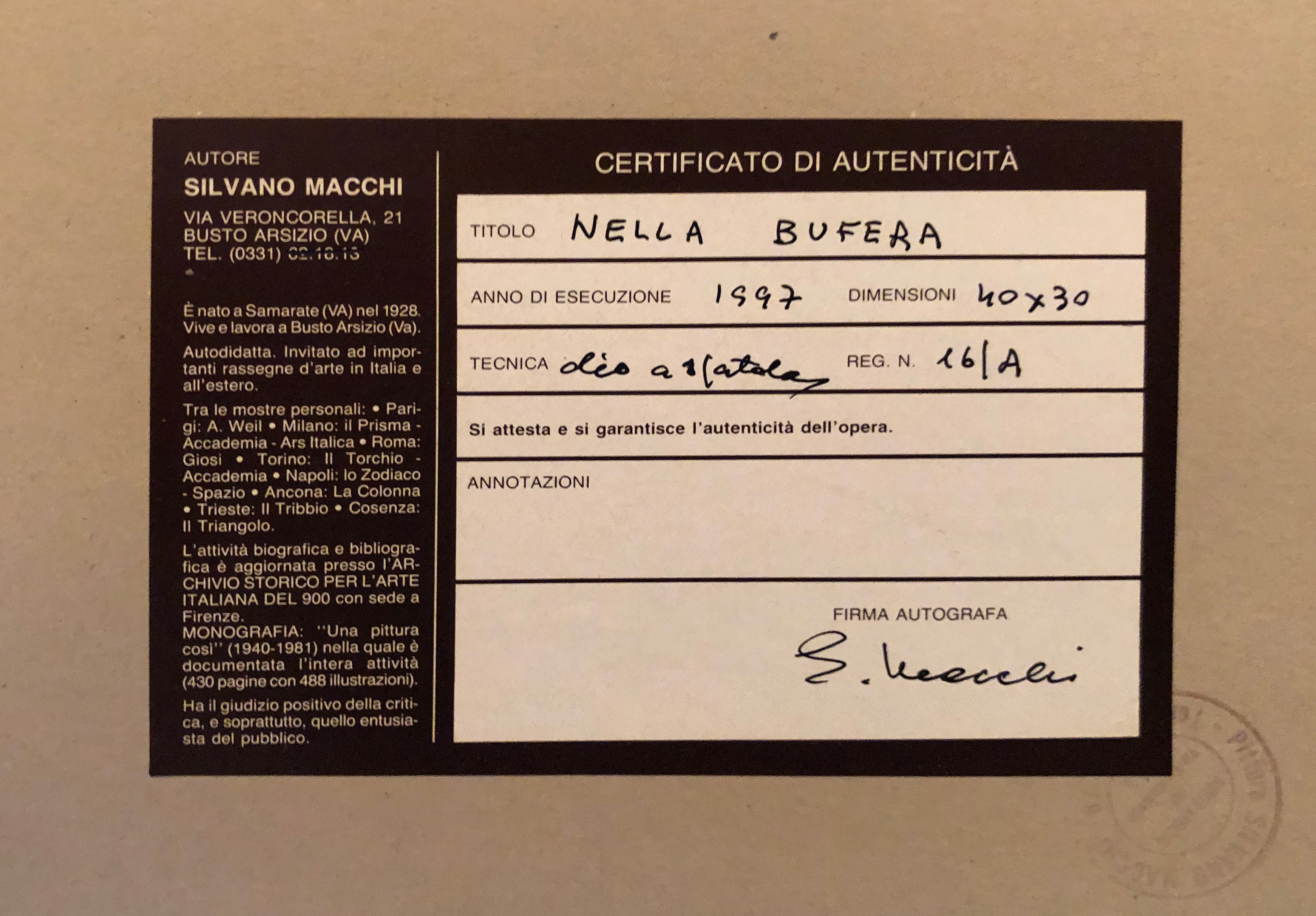 Silvano Macchi - Nella bufera