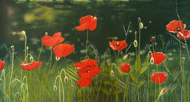 Franco Aloisi - Amapolas en la maleza