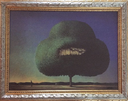 Franco Fortunato - Paisaje inesperado