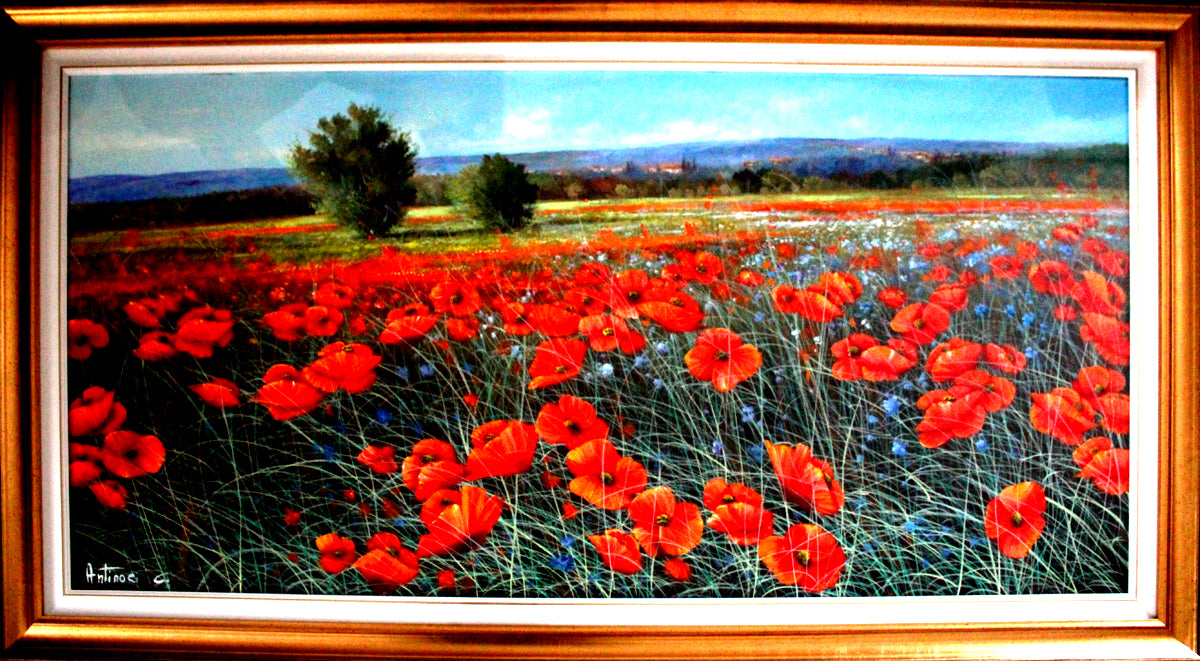 Carlo Antinori - Campo de amapolas