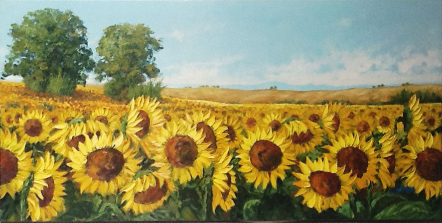 Antonio Di Michele - Campo di girasoli