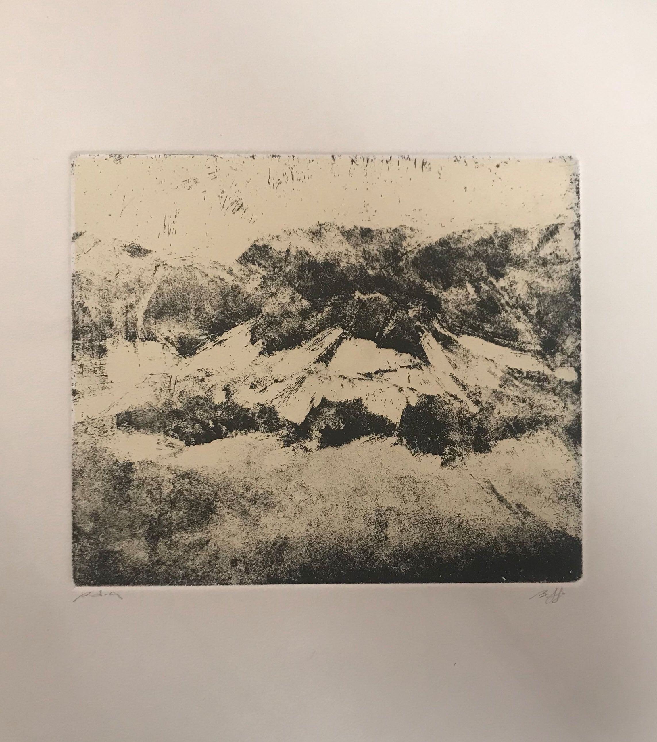 Bruno Biffi - Landscape