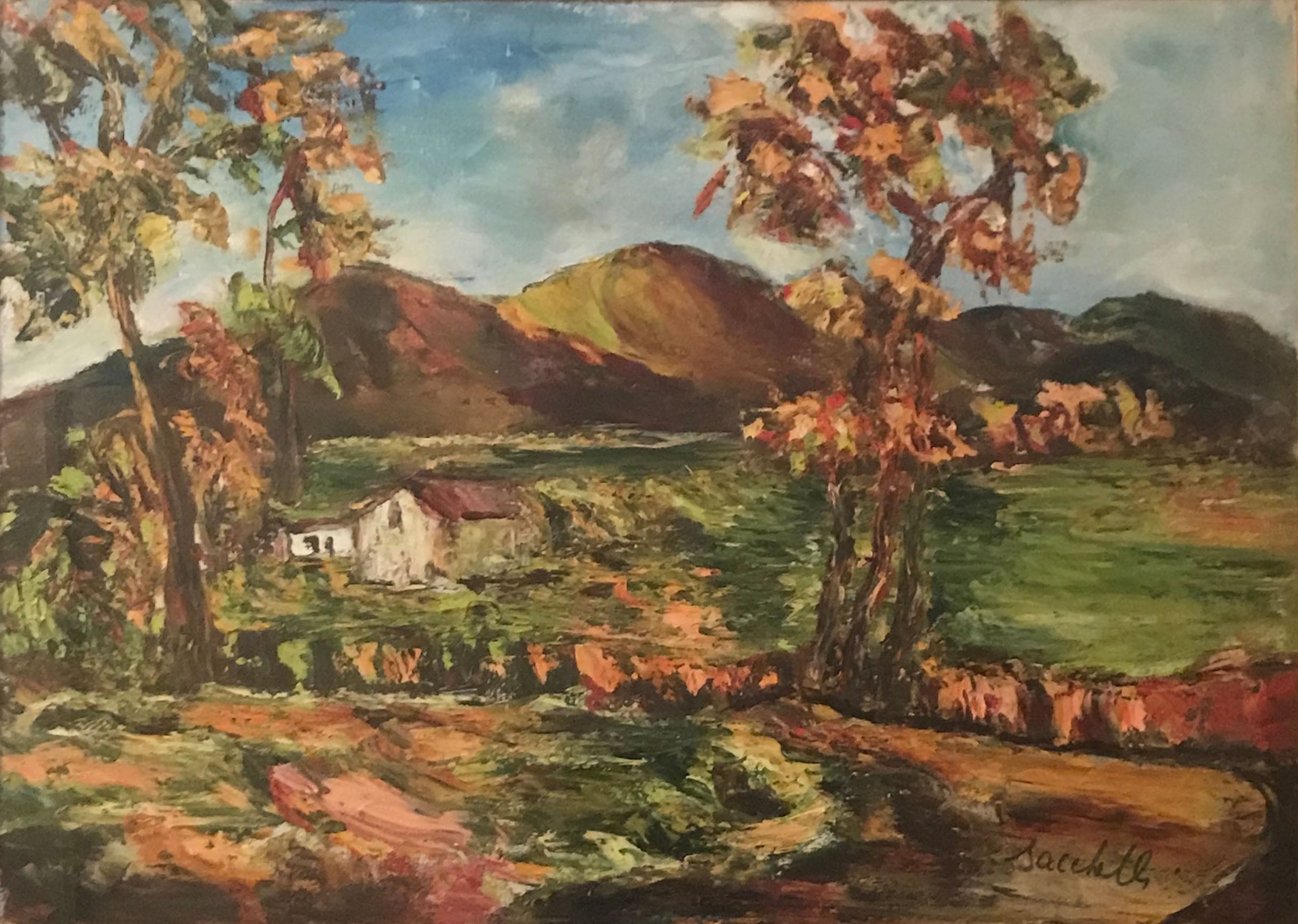 Wanda Sacchelli - Landscape