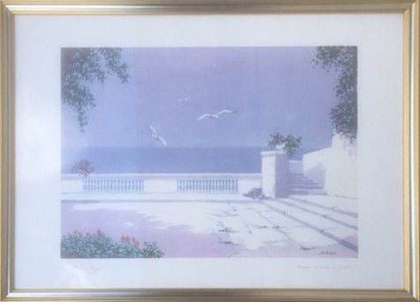 Piergiorgio Zuppini - Terraza con vistas al mar y gaviotas