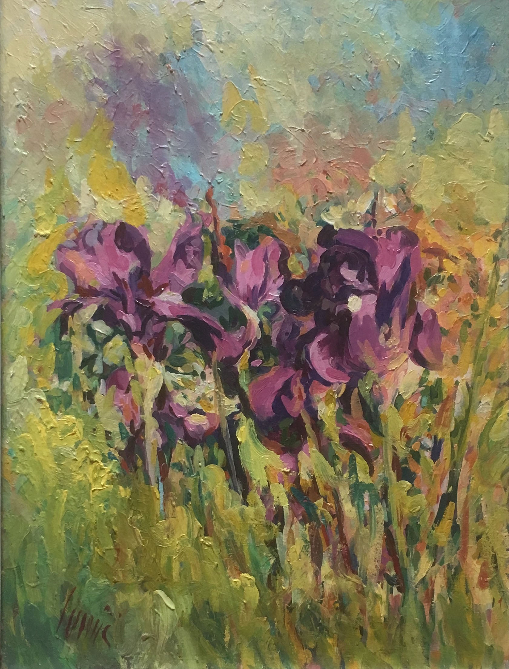 Herald Camici - Flores 1