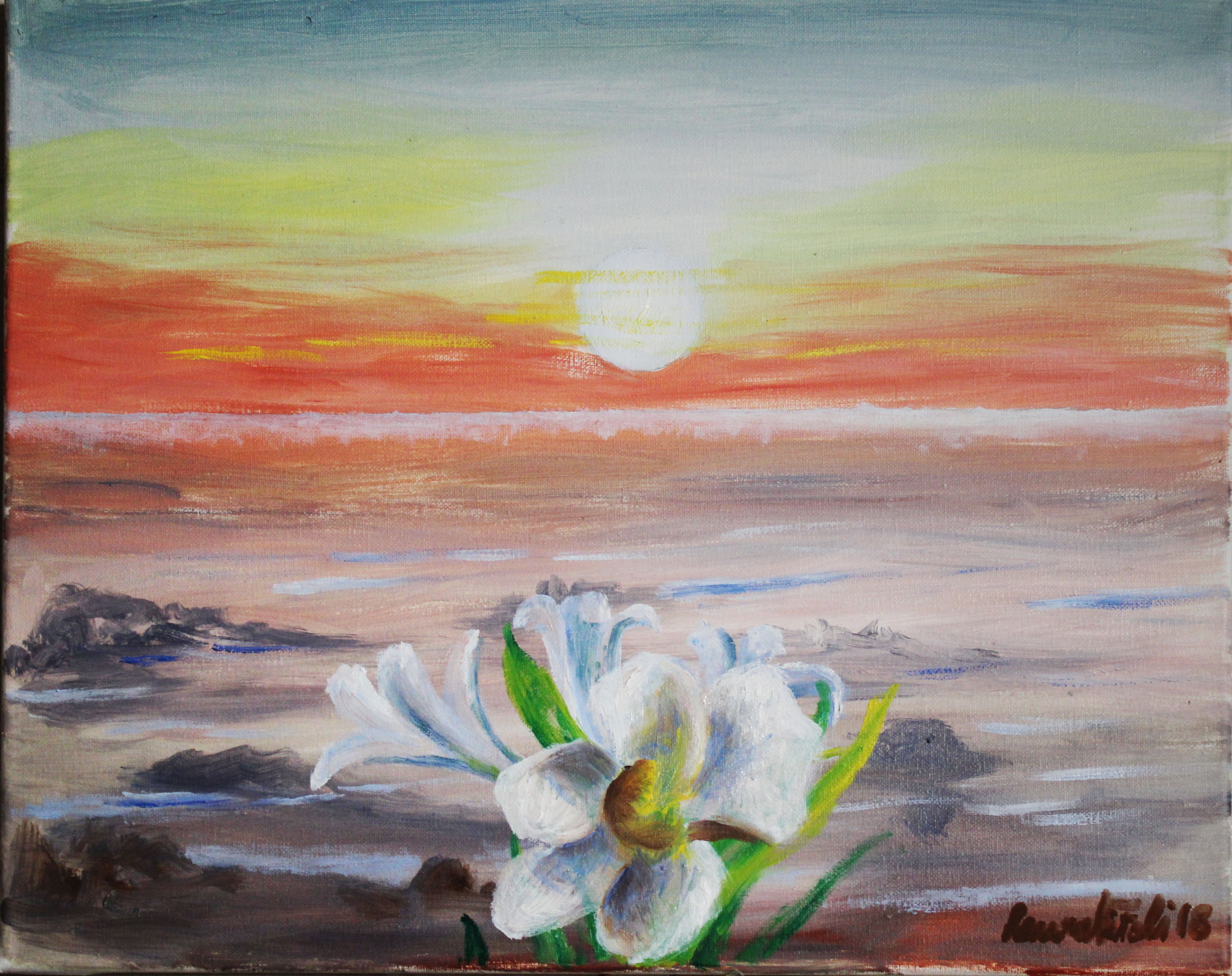Laura Vitali - Gigli di mare