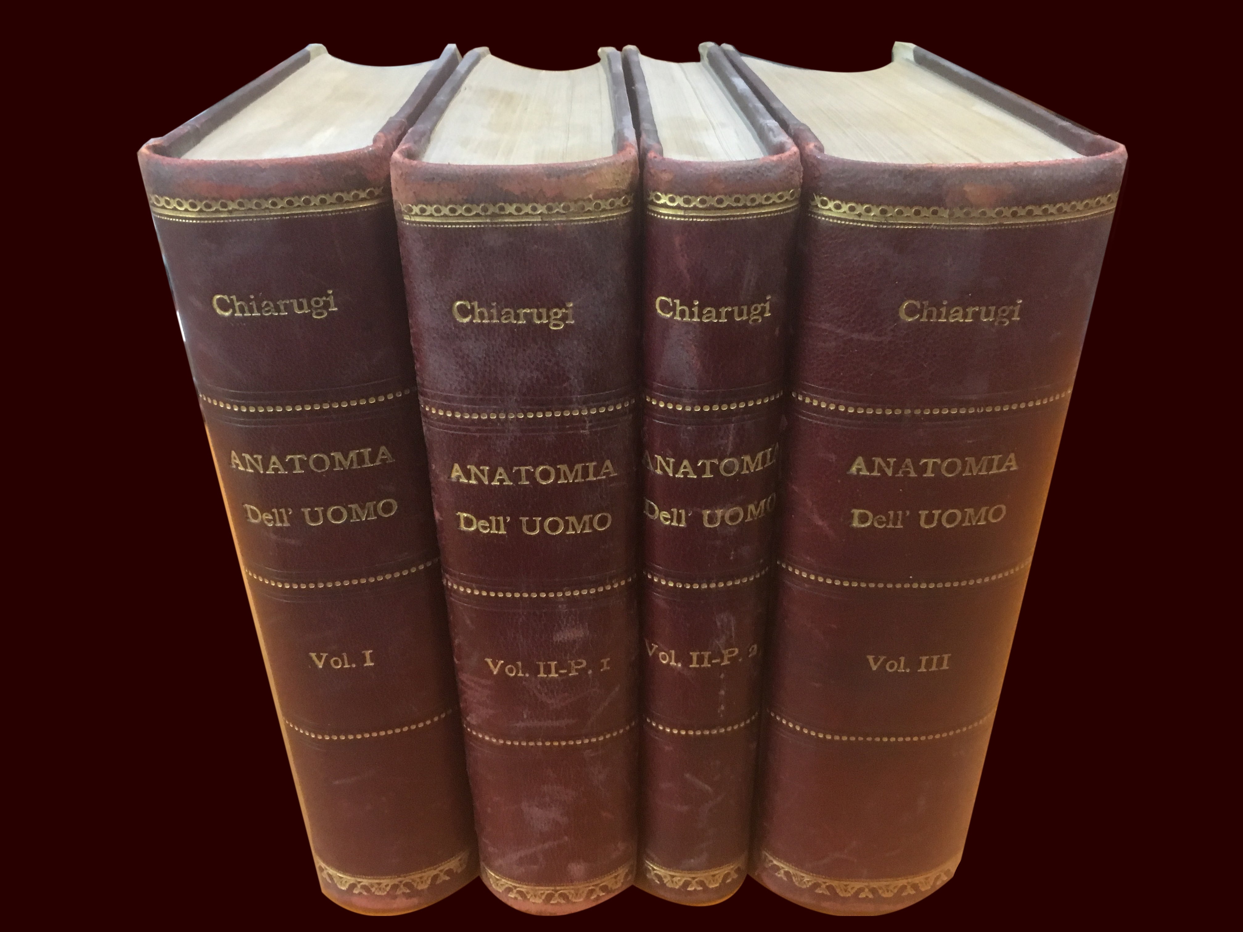 Anatomía humana - Chiarughi