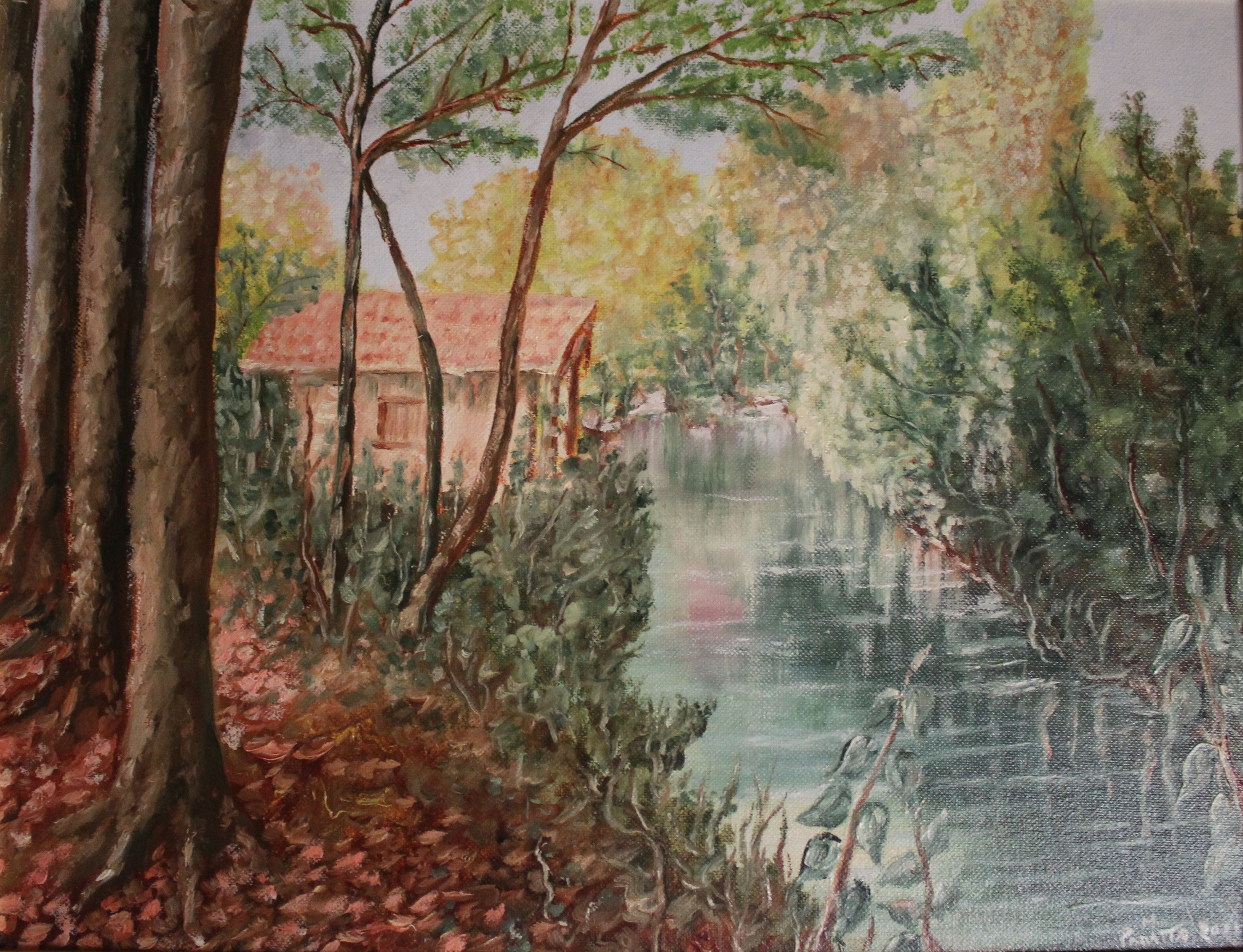 Marcello Panatta - Ruscello di Strassoldo