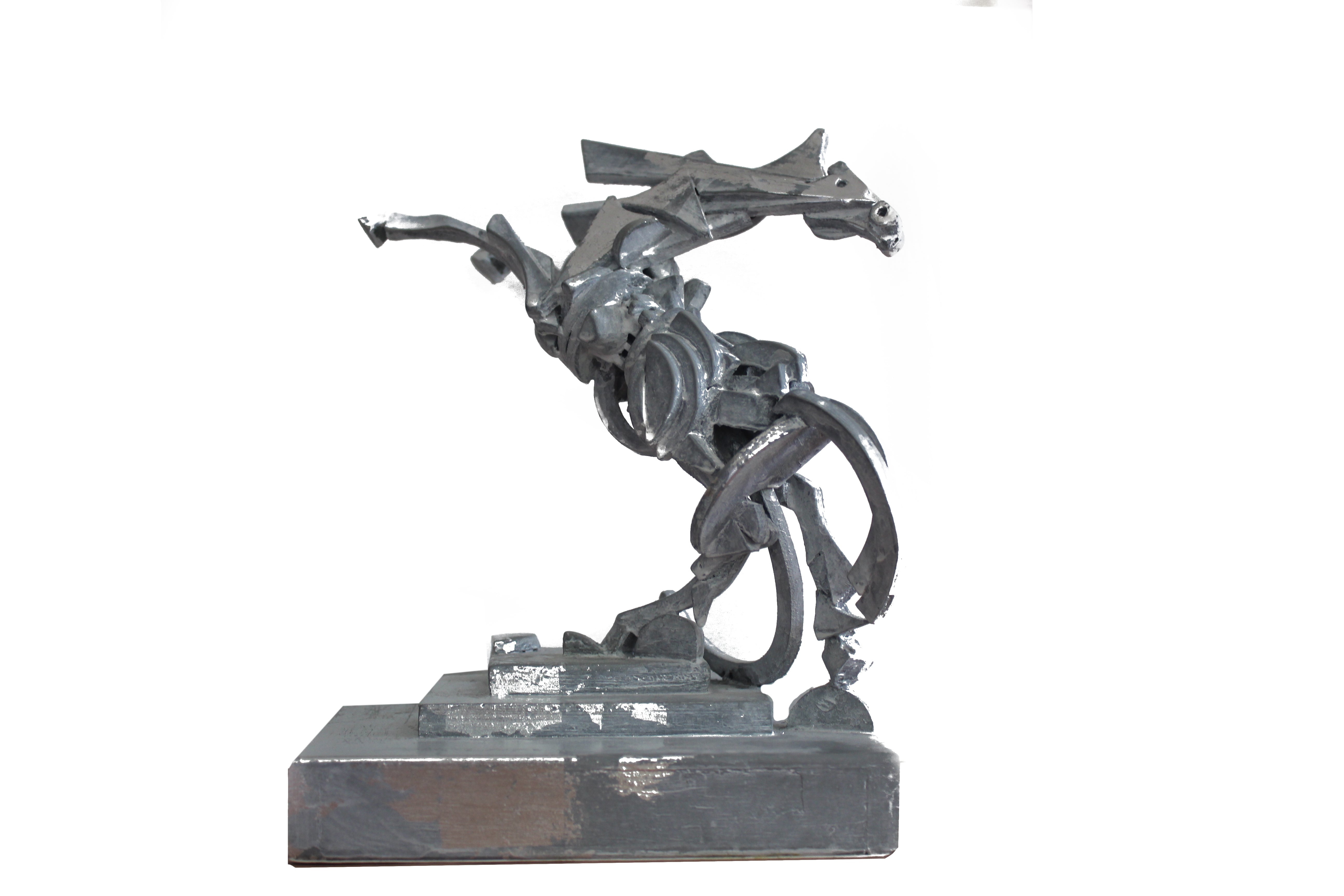 Sergio Rota Sperti - Caballo