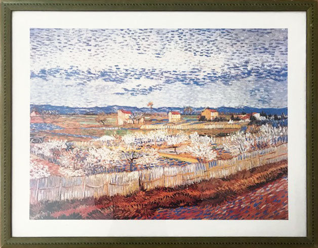 Artista sconosciuto - Omaggio a Van Gogh