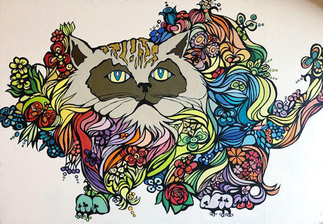 Spadanuda - Cat