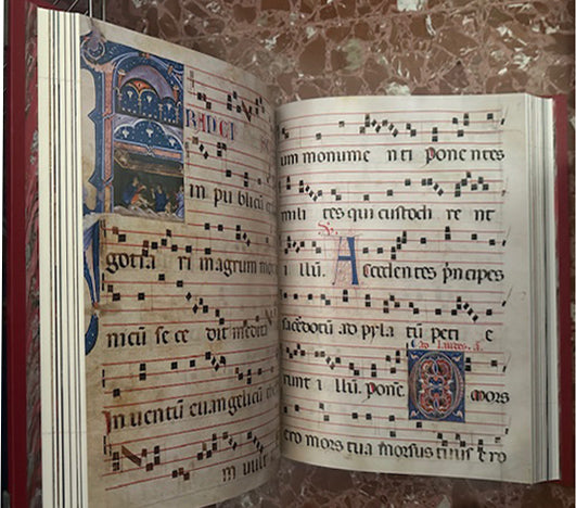 San Francisco de Asís - Giuseppe Ducrot (Fmr Art'è)
