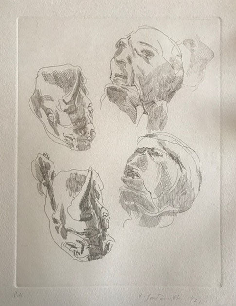 Santarelli - Rhinos and Faces