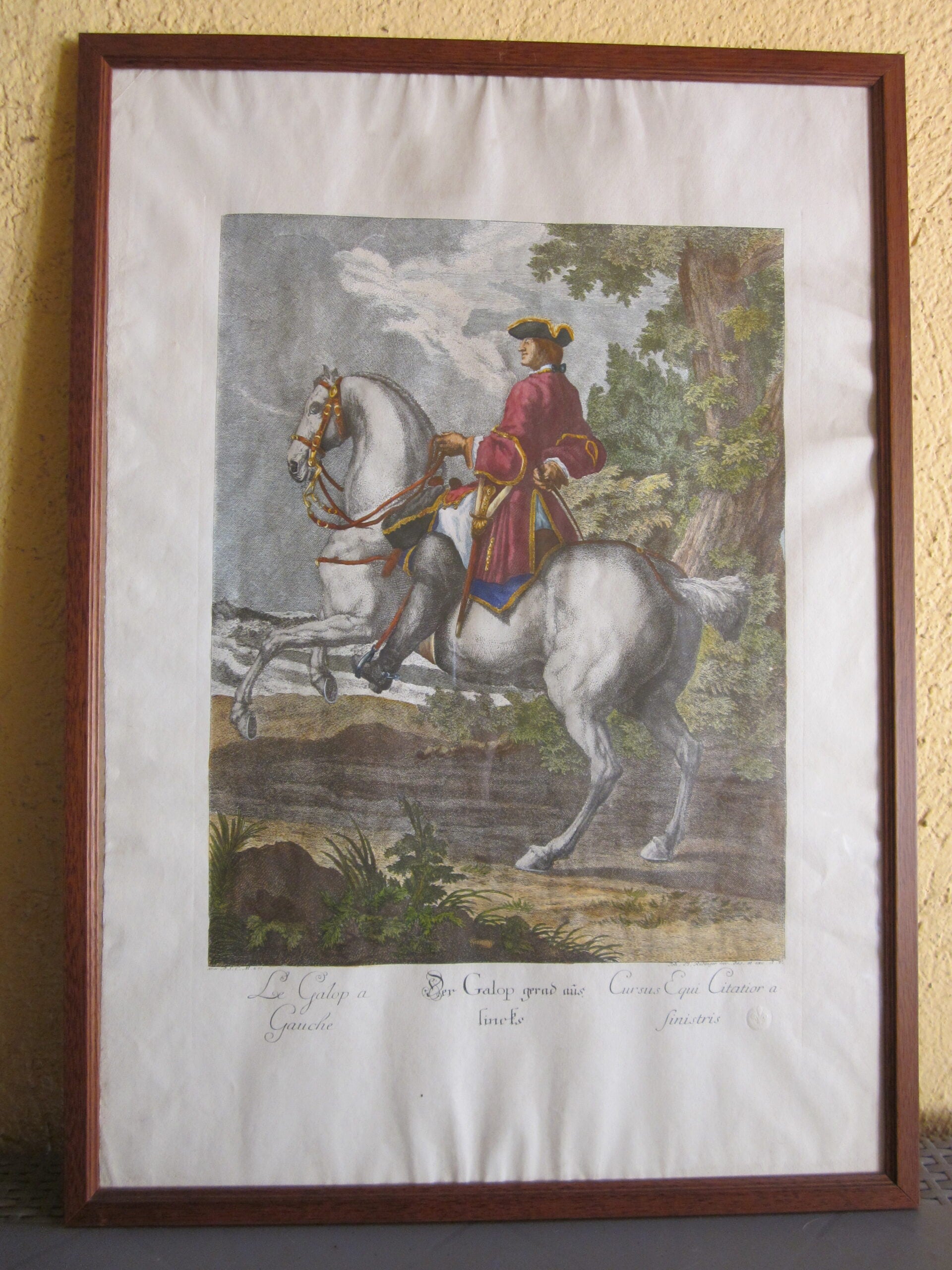 Johann Elias Ridinger - Serie de 18 grabados - MGOM001
