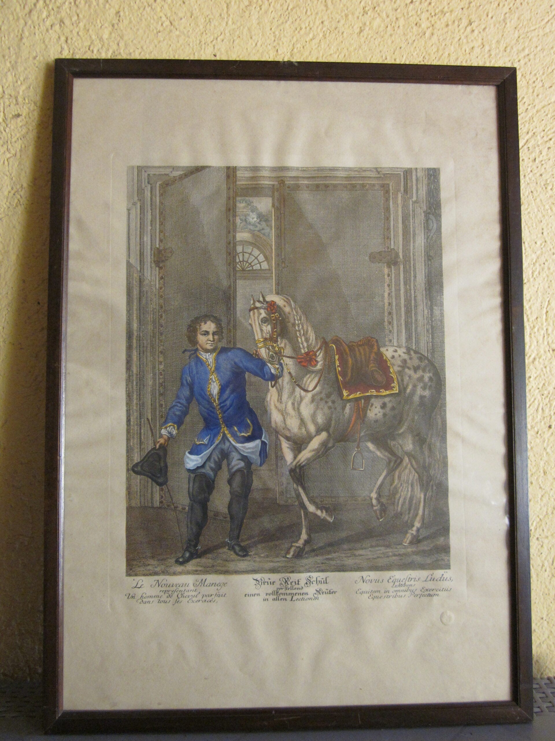 Johann Elias Ridinger - Serie de 18 grabados - MGOM001