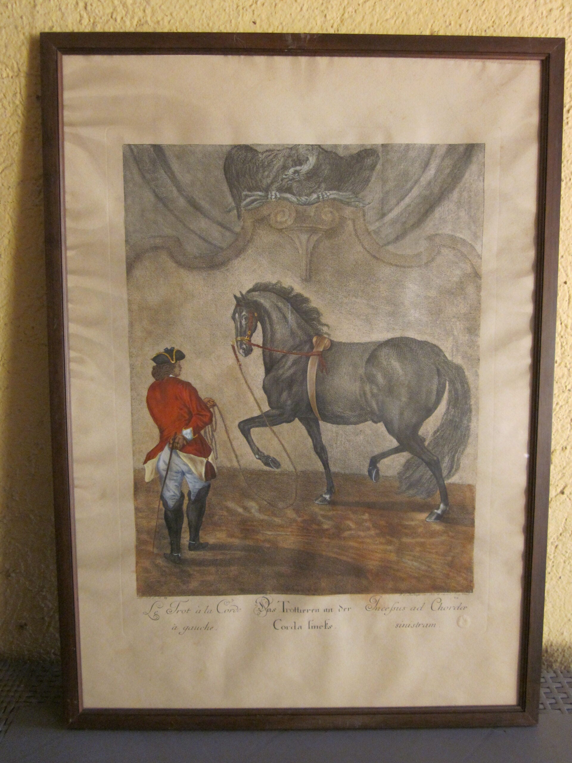 Johann Elias Ridinger - Serie de 18 grabados - MGOM001