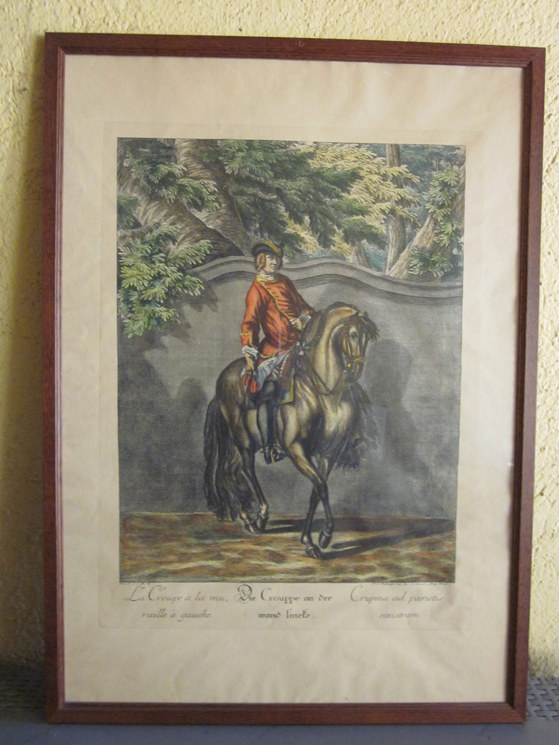 Johann Elias Ridinger - Serie de 18 grabados - MGOM001