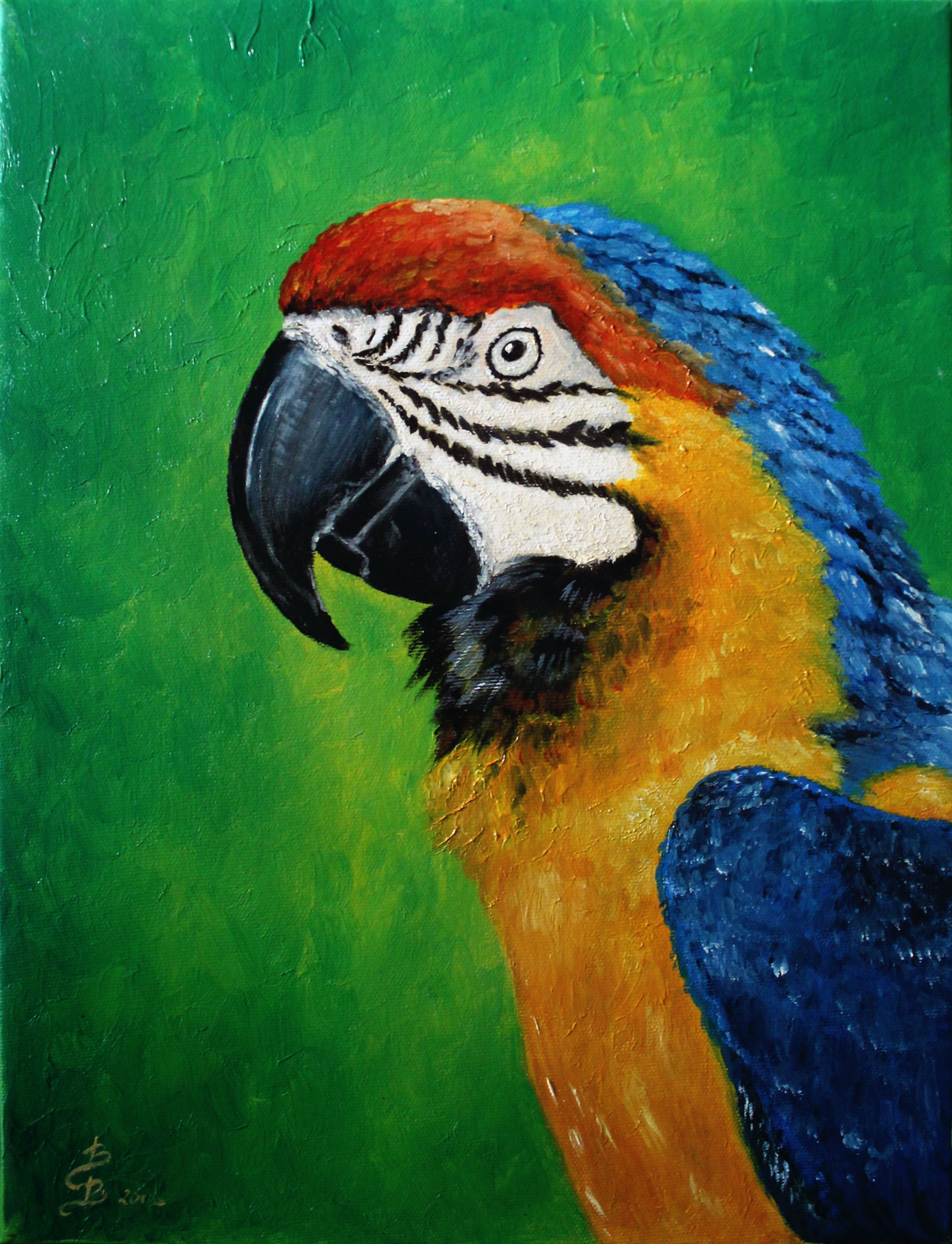 Barbara Borsatti - Loro