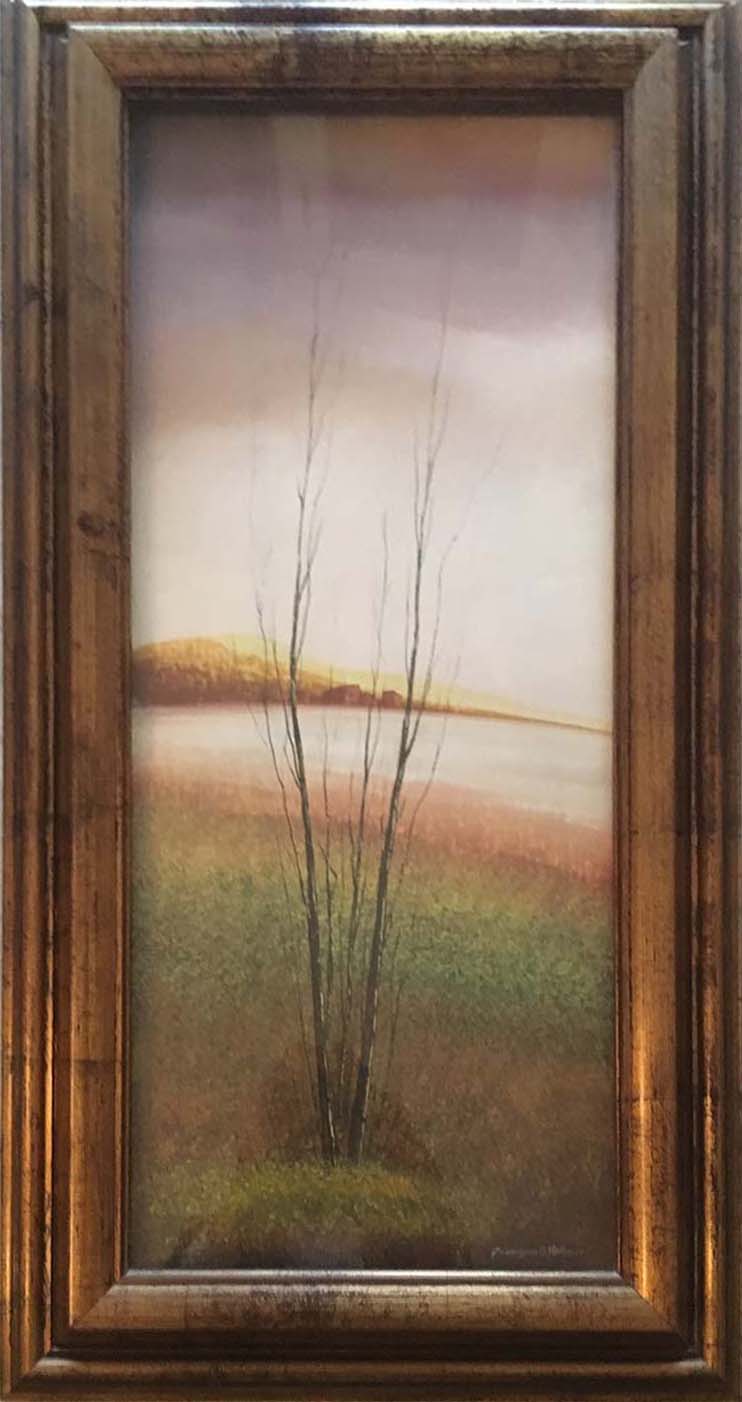 Giampaolo Vannucci - Campo toscano
