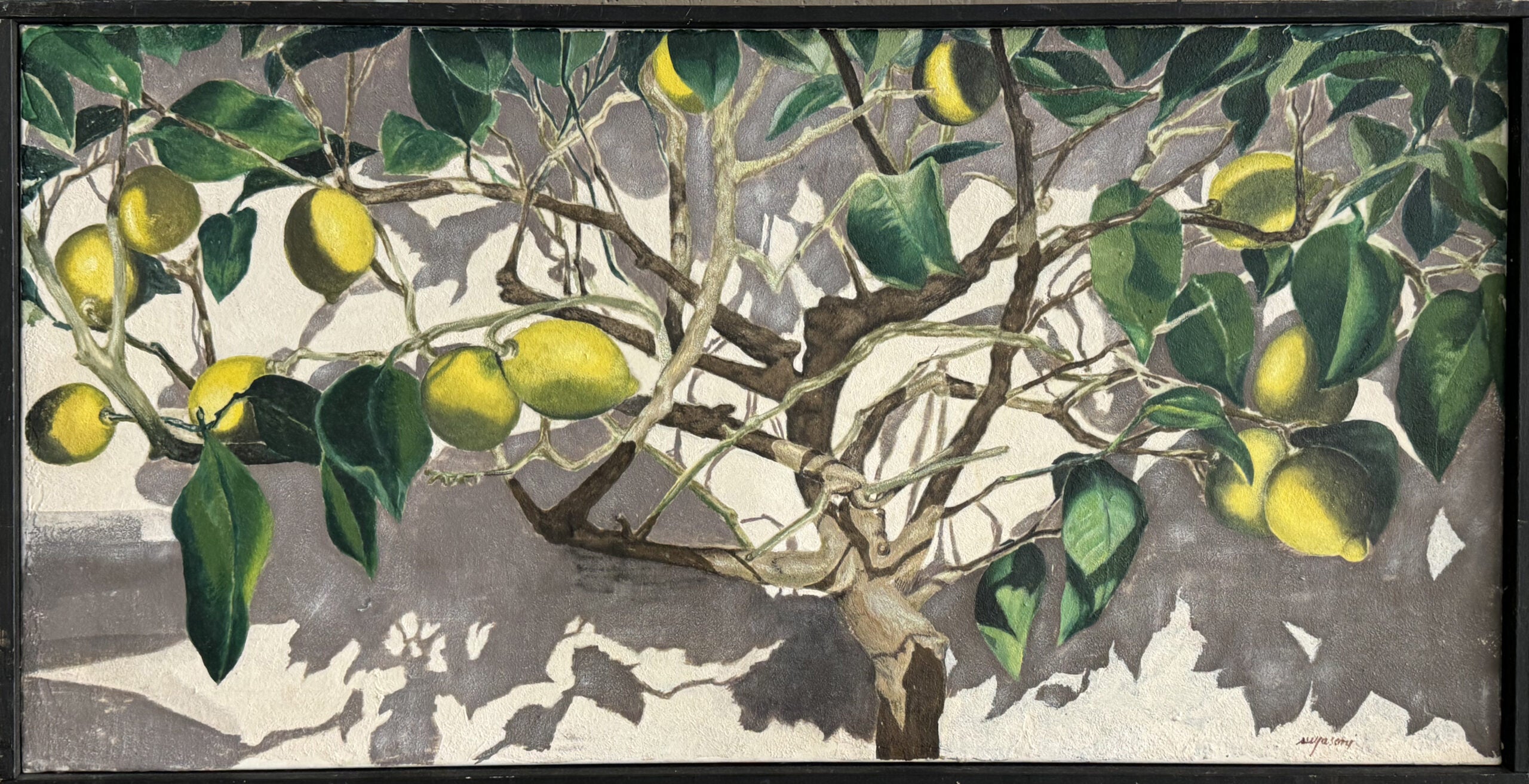 Maura Jasoni - Limoni