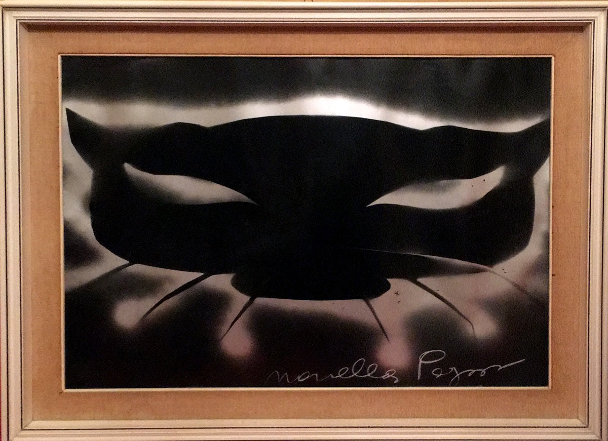 Novella Parigini - Untitled (Cat)
