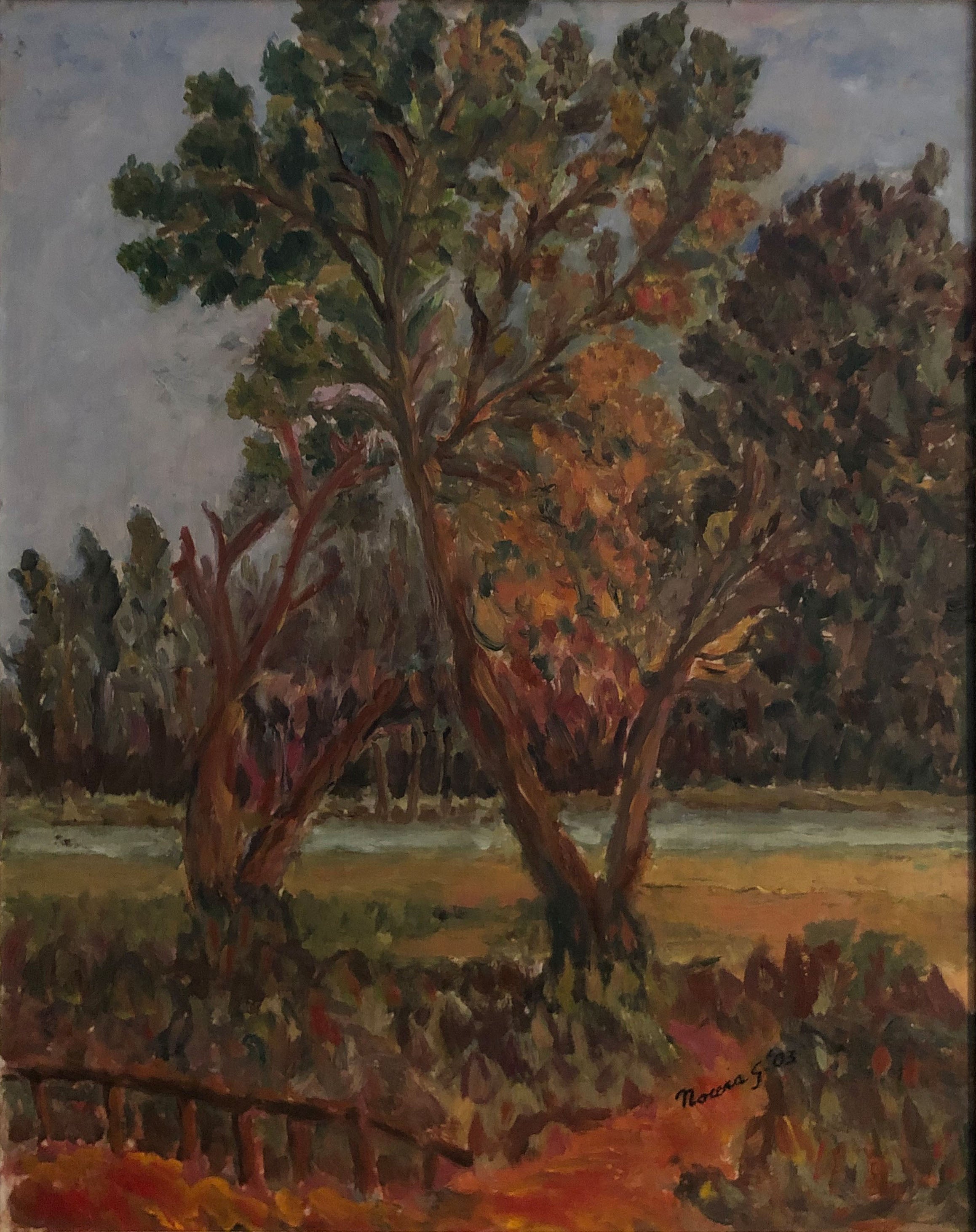 Giacoma Nocera - The Oak