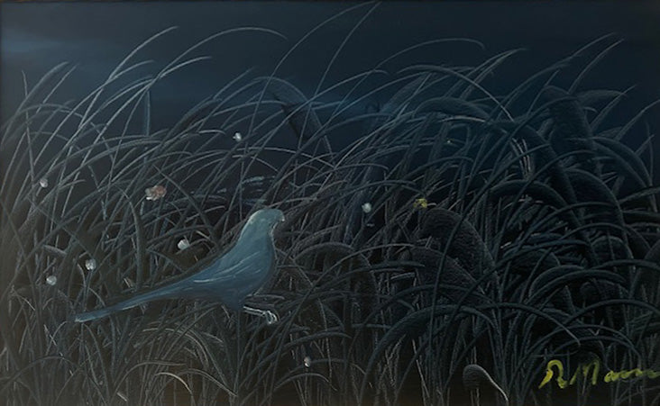 Raúl Marín - Cañaverales de noche