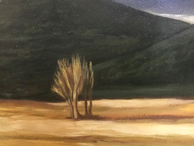 Nicola Capasso - Alberi