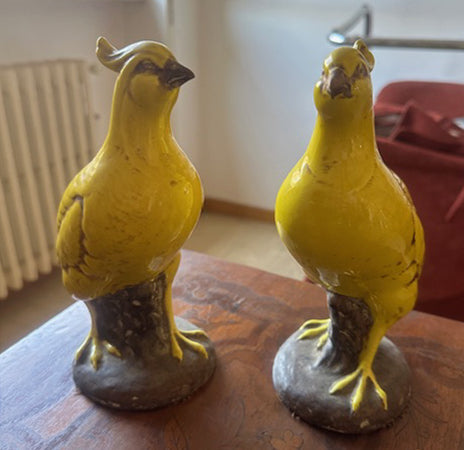 Zaccagnini - Loros